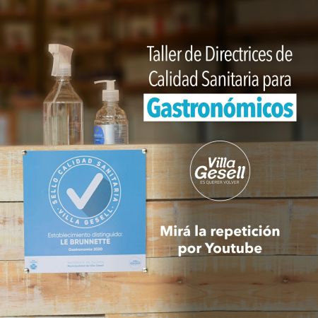 Repetición de Talleres de Directrices de Calidad Sanitaria por youtube