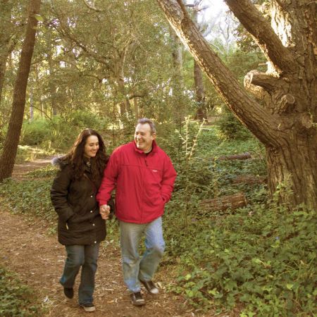 Paseo de los Pinares