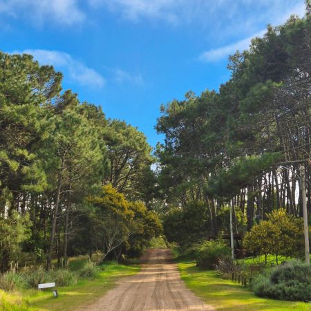 Mar de las Pampas avanza en su postulaci&oacute;n al programa Best Tourism Villages (Mejores Pueblos Tur&iacute;sticos)